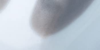 134844410 PO2