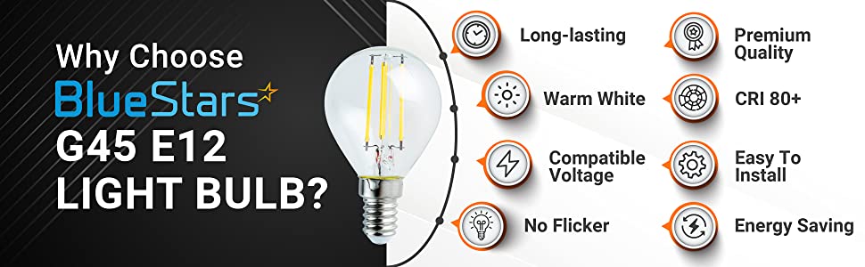 G45 E12 4W 120V PO4