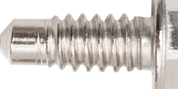 279393 Dryer Screw